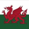 Wales Parade Flag