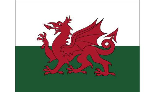 Wales Parade Flag