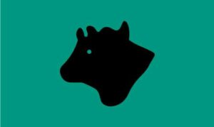 brownsea island bulls patrol flag