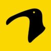 Brownsea Island Curlews