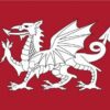 st edmunds flag white dragon