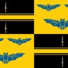 Brecknockshire Arms Flag