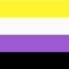 Non Binary Pride Flag