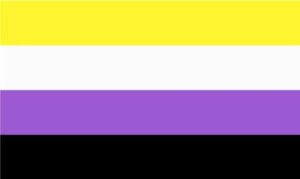 Non Binary Pride Flag