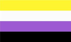 Non Binary Pride Flag