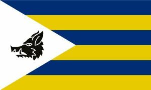 Radnorshire Flag