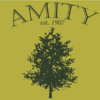 Amity, Arkansas, USA Outdoor Quality Flag