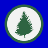 Cedar Bluff, Alabama USA Outdoor Quality Flag