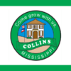 Collins Mississippi outdoor flag