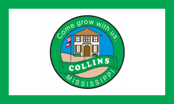 Collins Mississippi outdoor flag