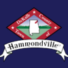 Hammondville Alabama outdoor flag