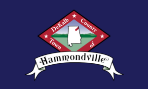 Hammondville Alabama outdoor flag