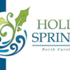 Holly Springs North Carolina Flag