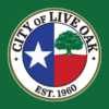 Live Oak Texas Outdoor Flag