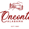 Oneonta Alabama Outdoor Flag