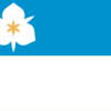 Salt Lake City, Utah USA Outdoor Flag