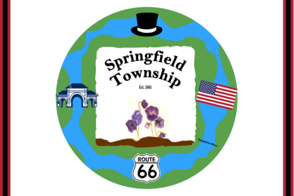 Springfield Township, Sangamon County, Illinois USA Outdoor Flag