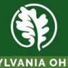 Sylvania, Ohio USA Outdoor Flag