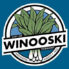 Winooski, Vermont USA Outdoor Quality Flag