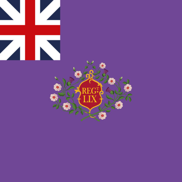 59th regiment of foot, regimental colour